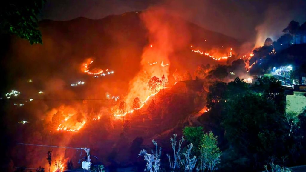 Nainital wildfires: Photos of devastating Uttarakhand forest fires; no ...