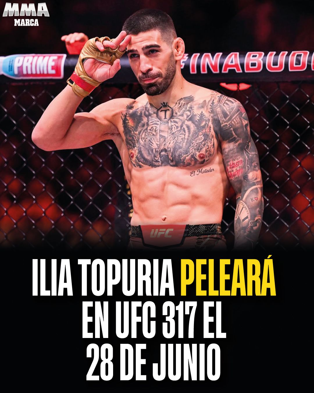 MMA in brand.