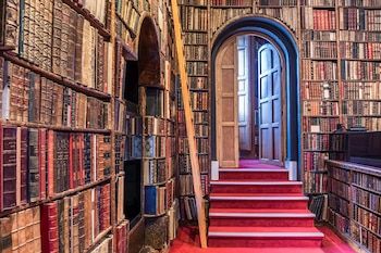 Bardón Library in Madrid