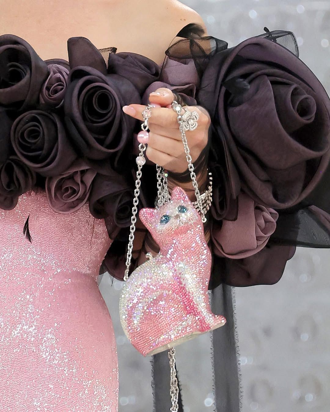 This is the luxury life of the Karl Lagerfeld cat, which left its inheritance of 200 million