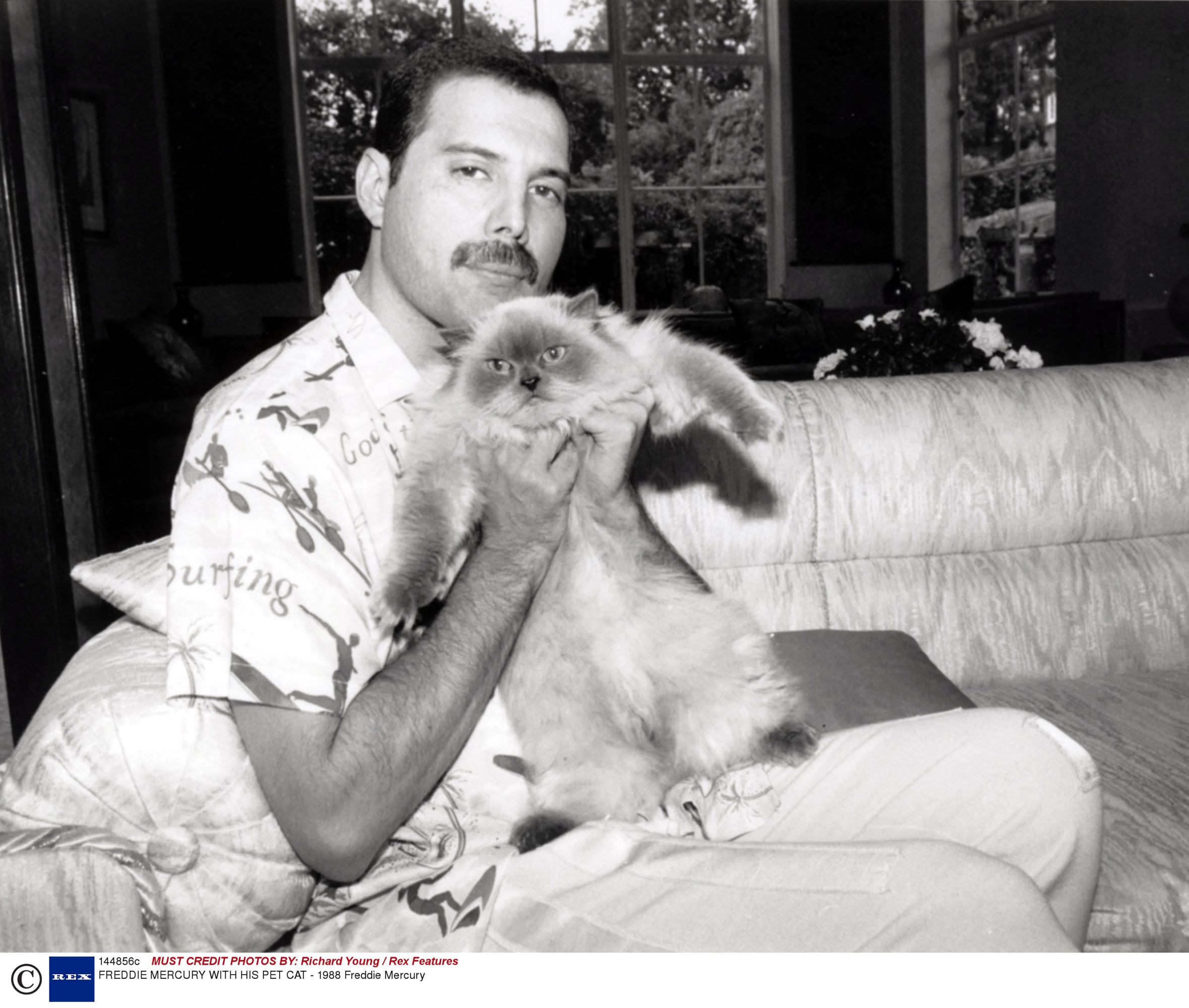 Freddie Mercury: 17 of their secret newspapers come to light