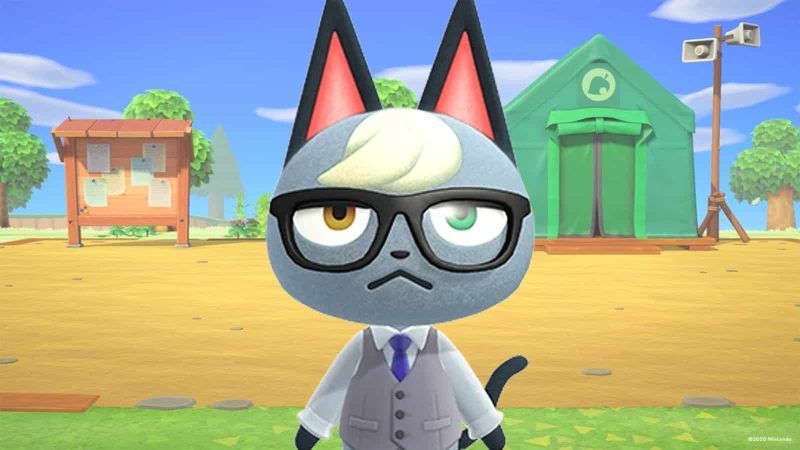 Animal Crossing Raymond 800x450