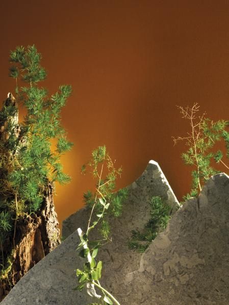 Natura, the third great tendency of the report, places the environment in the center of architecture and interior design