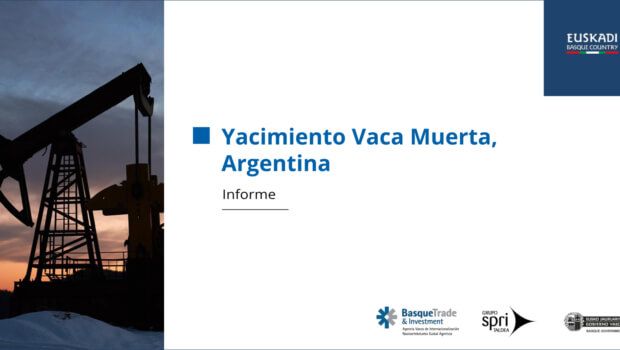 The Argentine Buca Muerta deposit projects investments of 35.5 billion dollars in natural gas for the coming years