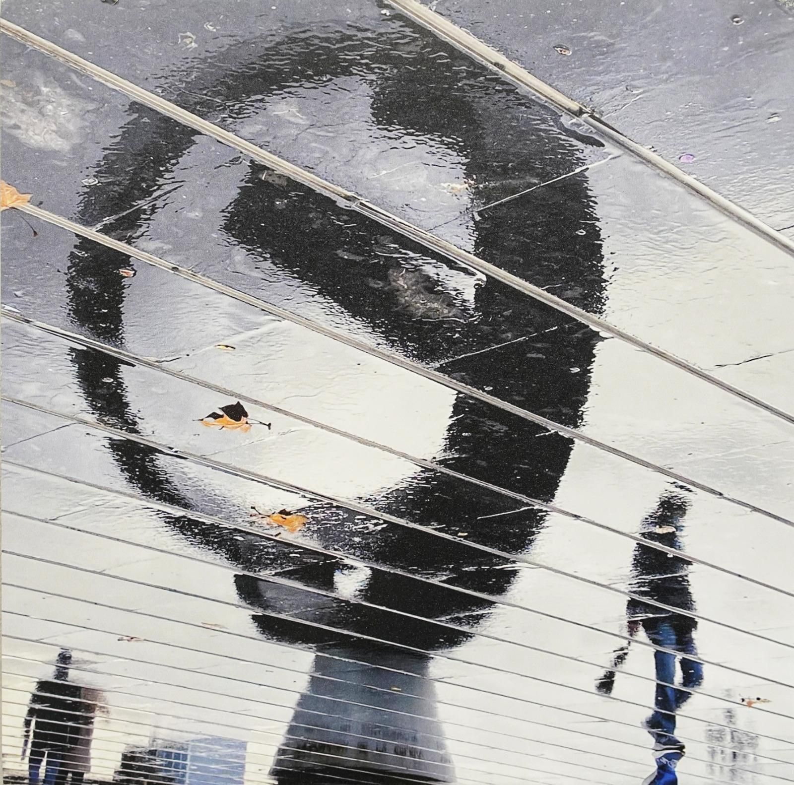 In images: Exhibition 'La Corneja Cindenta' Crows in Bilbao