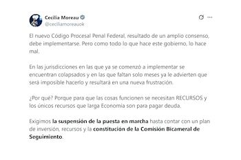 Cecilia Moreau, national deputy
