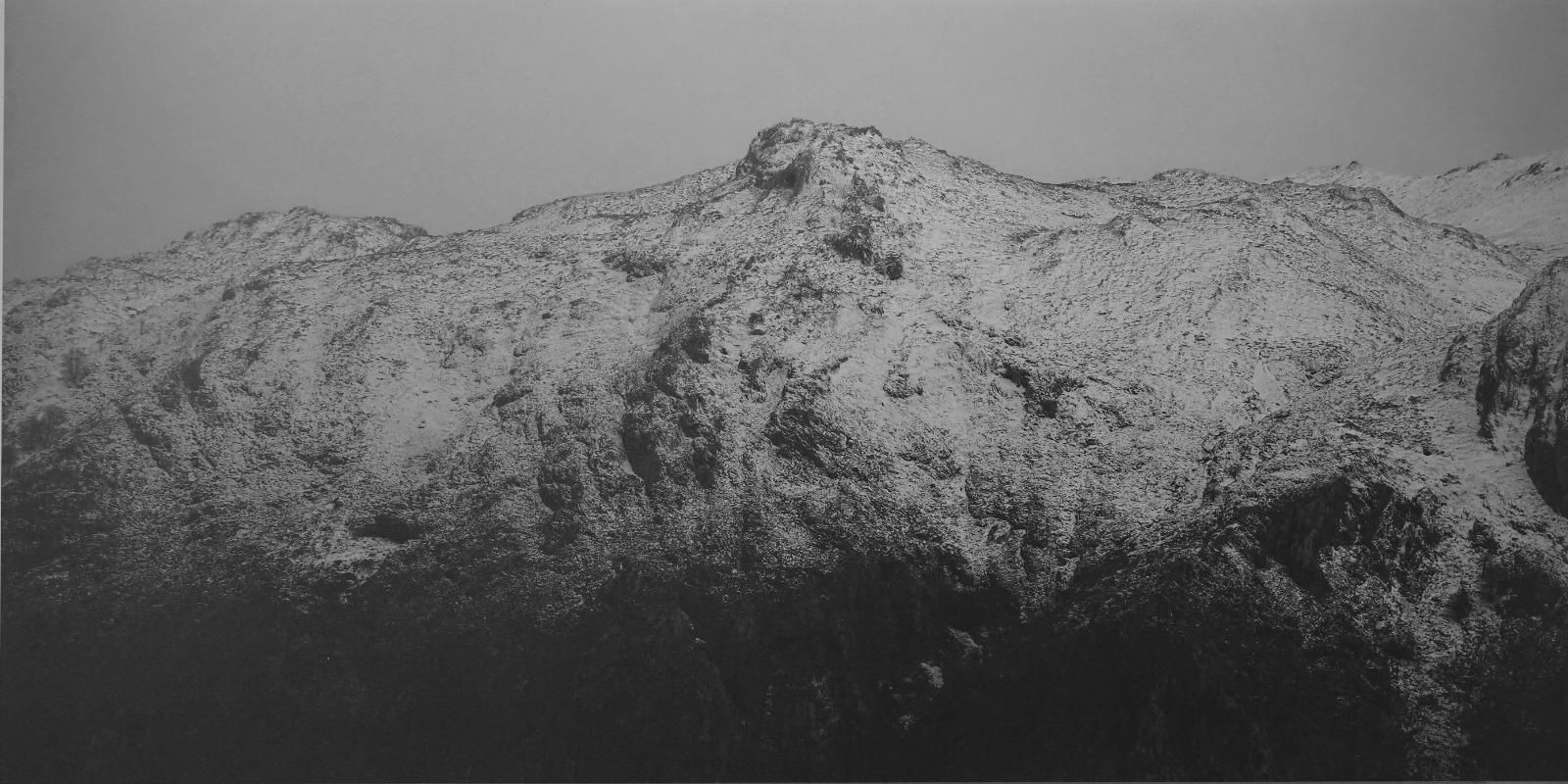 In images: Exhibition 'La Corneja Cindenta' Crows in Bilbao