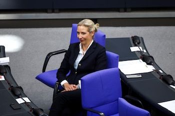 Alice Weidel, AFD Co -President