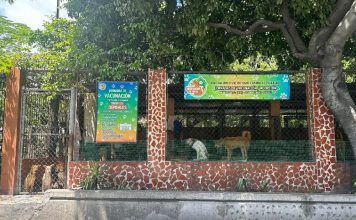 The canine refuge the valley denounces sexual abuse of member of its team and demands justice The canine refuge the valley denounces sexual abuse of member of its team and demands justice