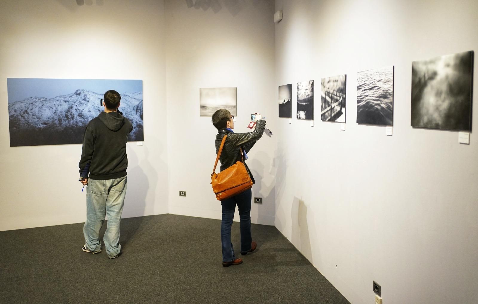 In images: Exhibition 'La Corneja Cindenta' Crows in Bilbao