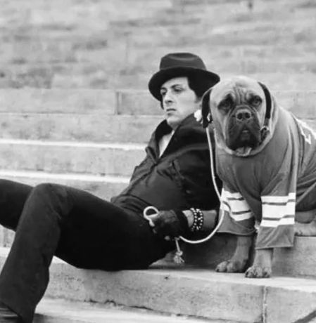 Sylvester Stallone with your dog