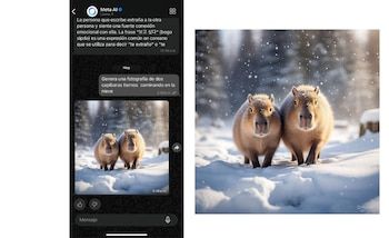 Users can create images