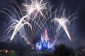 The night show for adults