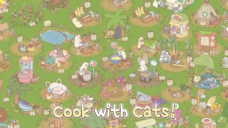 Cats & Soup