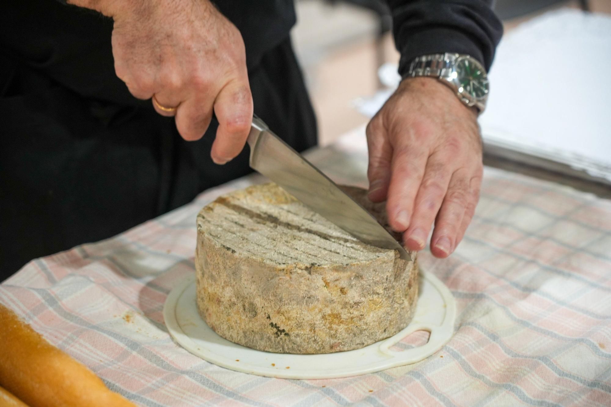 In images: the XIV Agroecological Fair takes the Álava Campus with talks, tastings and activities