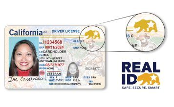 Real ID, the new document that the United States demands for internal flights Real ID, the new document that the United States demands for internal flights