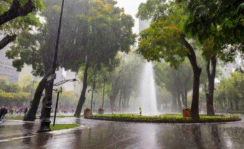The weather forecast in