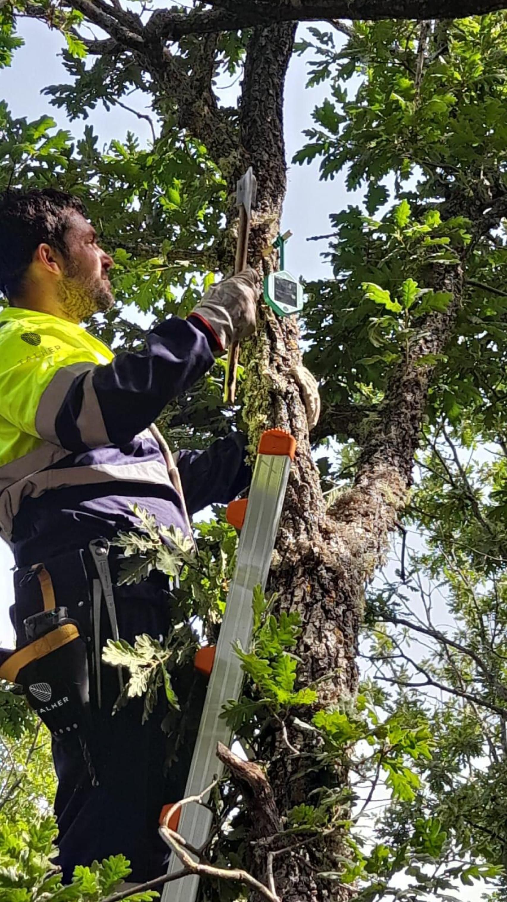 A Talher operator installs one of the sensors.