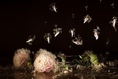 'Reminiscences', by artist David Catá.
