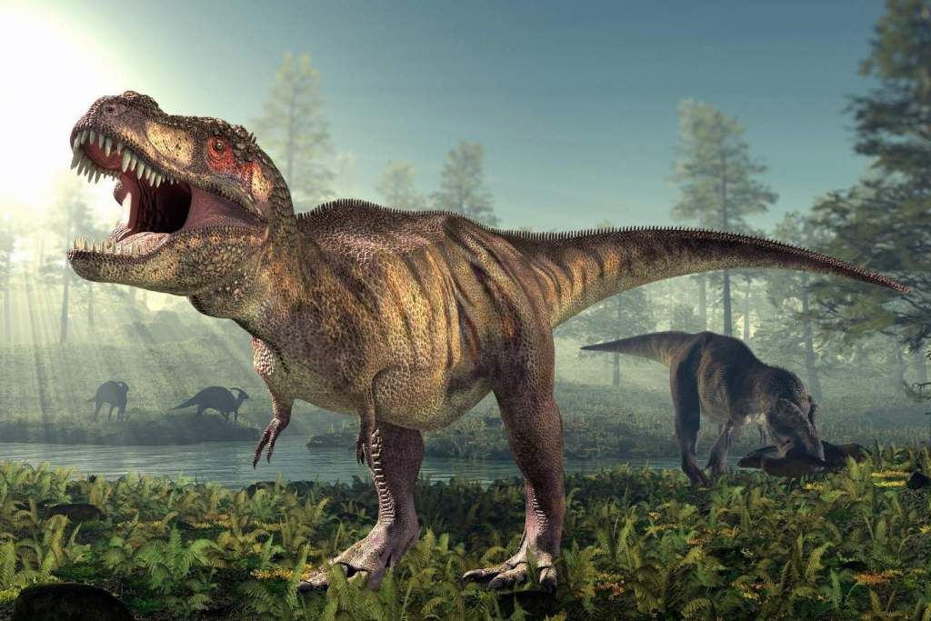 A prehistoric giant who took advantage of the collapse of his rivals to become the undisputed king of the end of the dinosaurs era
