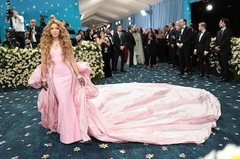 Shakira stole the