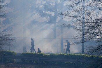 Forest fires in the south