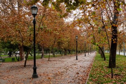 An area of the Santiago Forest Park.