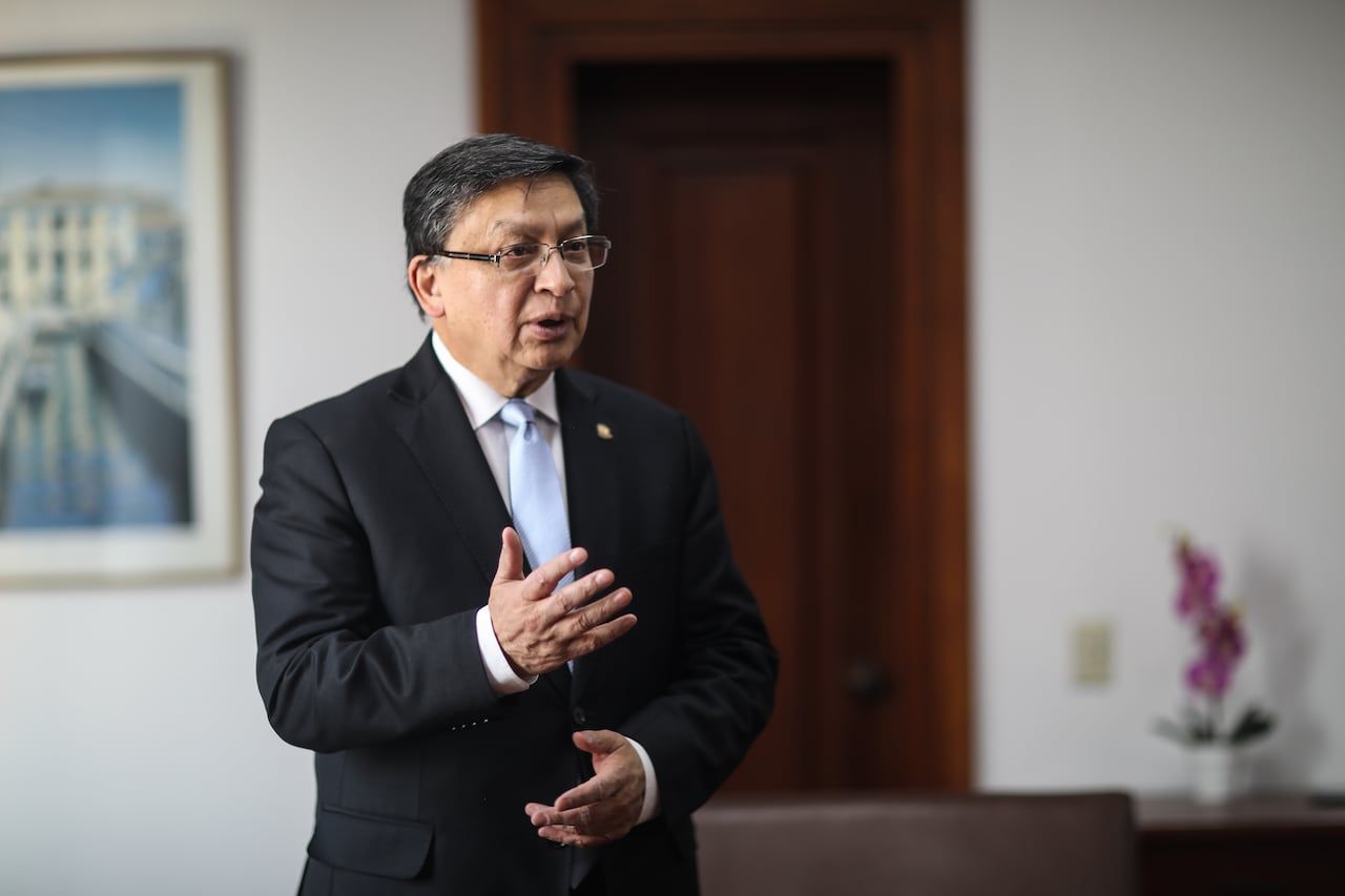 President of the Constitutional Court, Jorge Enrique Ibáñez Najar
