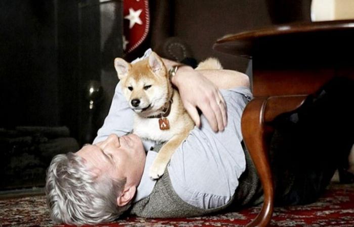 Based on real events: the exciting film starring Richard Gere that will make you cry for its moving history and is available in Paramount+