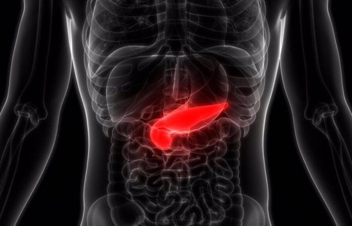 They discover a new drug that could change the treatment of pancreas cancer forever