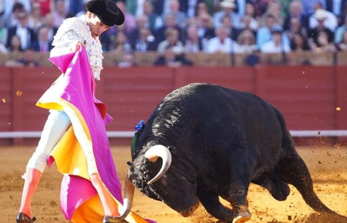 Bullfighting according to Seville – Cultoro.es