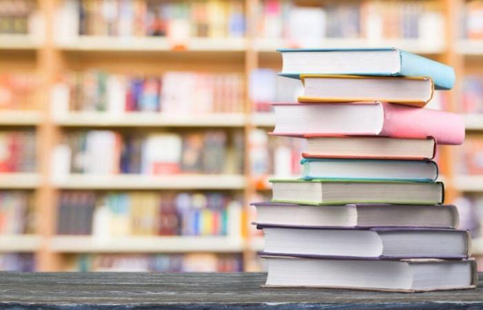 Published the call for aid for the promotion of reading and strengthening the book industry 2025