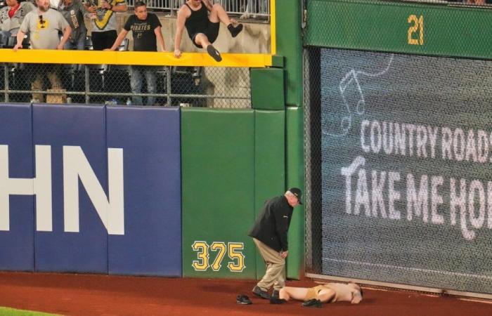 Puerto Rican Coach of the Pirates witnessed the fall of a fan: “It fills us with sadness”