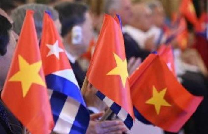 Díaz-Canel stands out meaning of Vietnam’s reunification