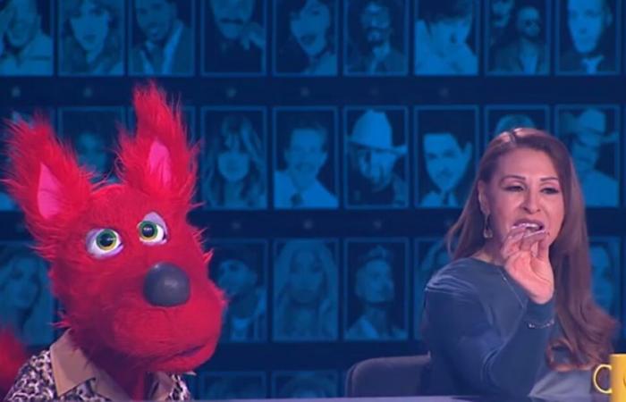 ‘I my name’: the godparents left everything on stage for the mini imitators, but only one took the gifts; This was the evening