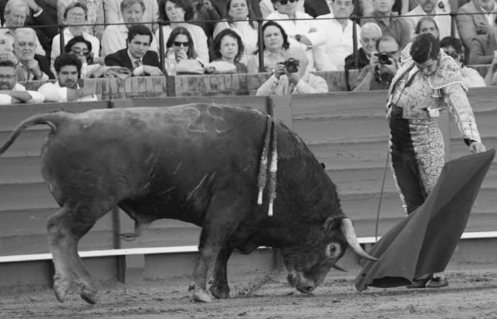 Bullfighting according to Seville – Cultoro.es