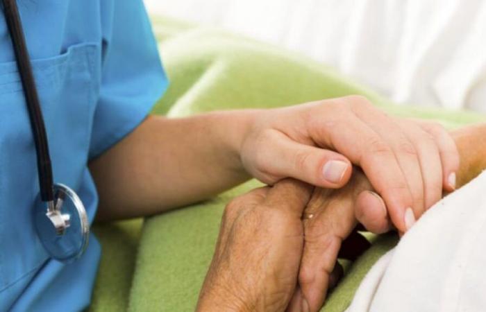 Enguera launches its I Health Plan to improve the well -being of all its neighbors | Health and well -being