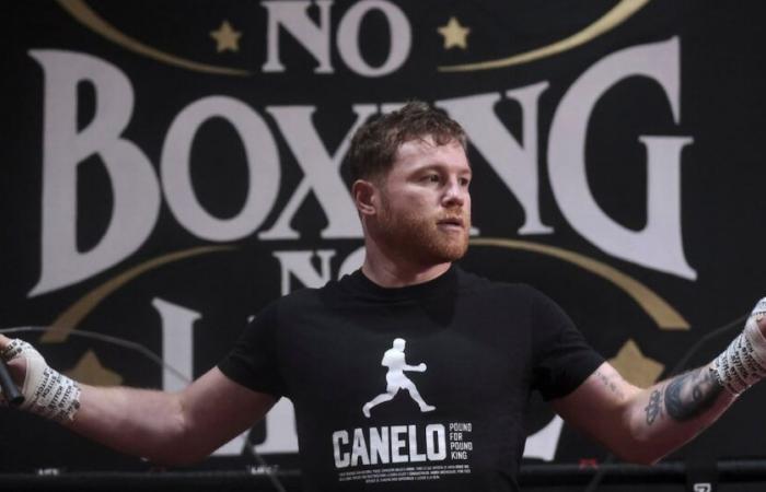 How much did the Canelo Álvarez Vs William Scull fight tickets in Saudi Arabia
