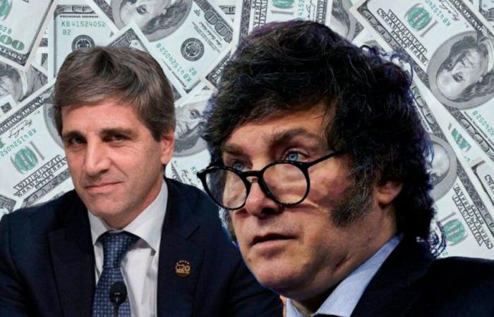 What does the government plan to do with the dollar