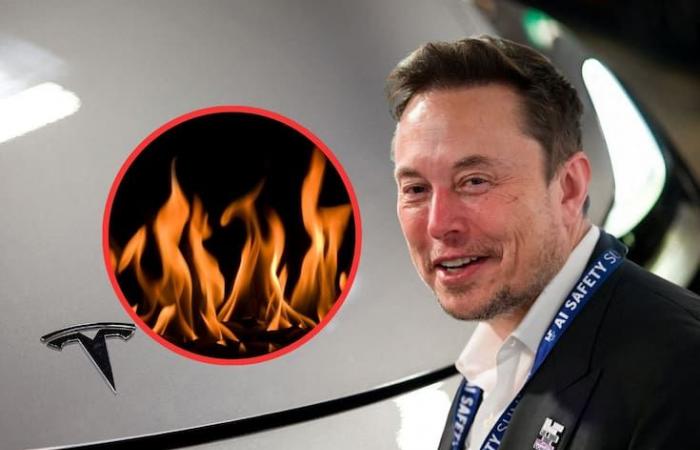 The fall of Elon Musk continues: Tesla’s sales in Europe collapse while their Chinese and traditional competitors gain ground | News from Mexico