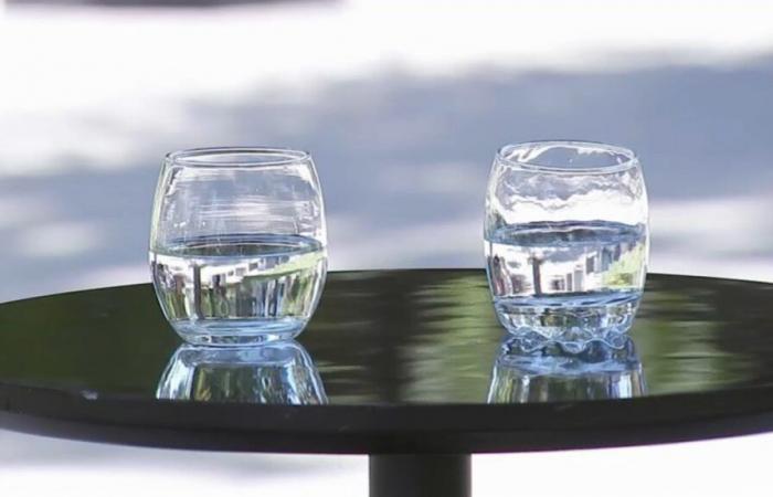 “It could cause a lot of loss”: the arguments against the project that seeks to deliver free water in the restaurants