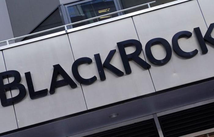 Blackrock reduces its participation in Redeia from 5,020% to 4.992%