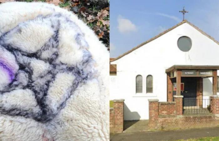 They investigate a man for animal murder