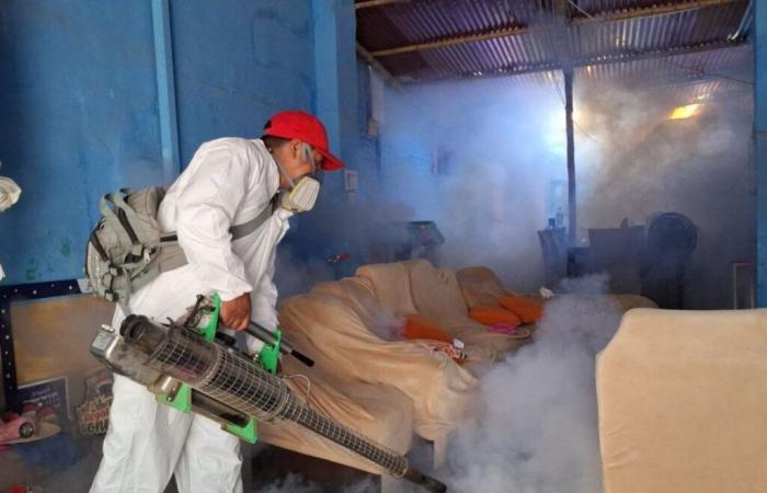 Lambayeque against Dengue: They begin fumigation in Olmos before the disease outbreak | News