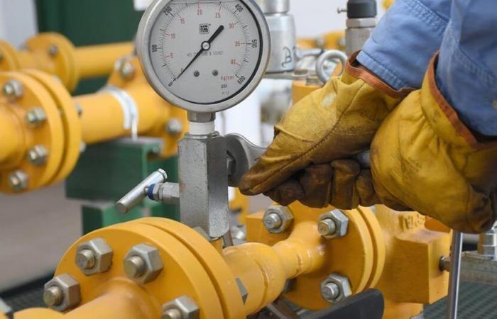 Sinsacate clear the way for a mega -work of natural gas of $ 1.2 billion