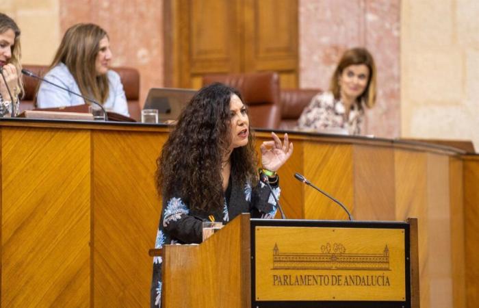 Ana Ruiz highlights Vox’s support for bullfighting and accuses the Andalusian PP of “incoherence” and “mimicry with the PSOE”