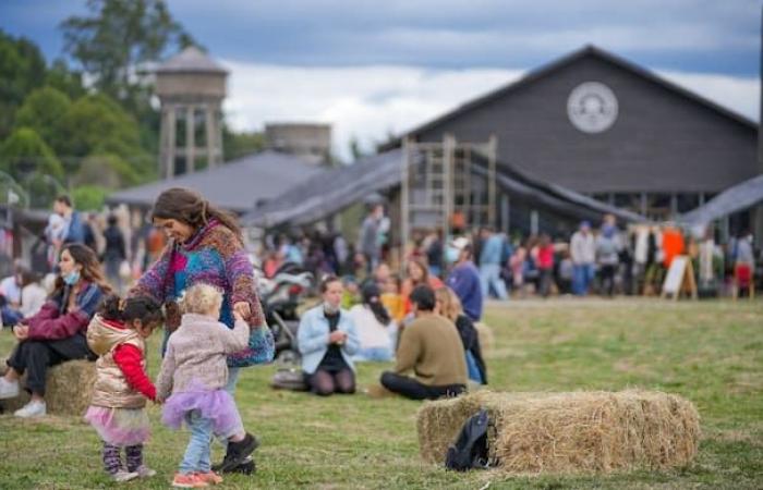 The [r]Book evolution celebrates its second edition in Puerto Varas