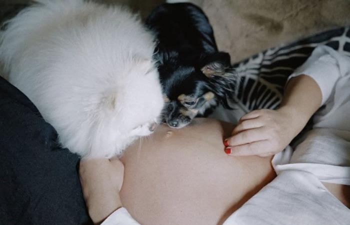Ana Brenda Contreras presume how she looks in the final stretch of her pregnancy