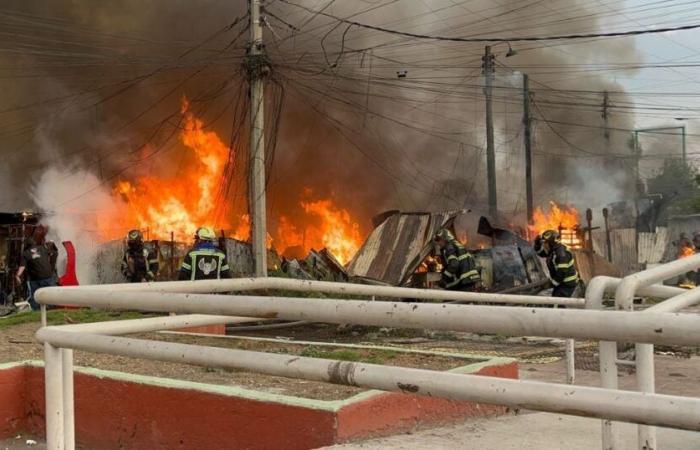 Fire devastates camp in Lindavista, CDMX; More than 50 affected houses