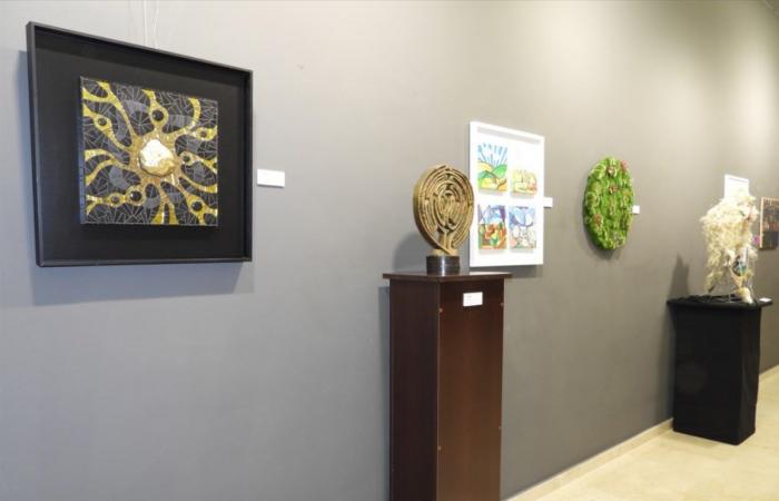The Puertollano Museum hosts the female artistic talent of the Artfem Association